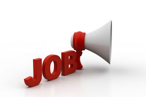 O primărie din judeţul Argeş angajează