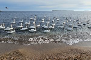 Cum va fi vremea in Dobrogea, in urmatoarele doua saptamani! Cand sunt asteptate precipitatii la malul marii