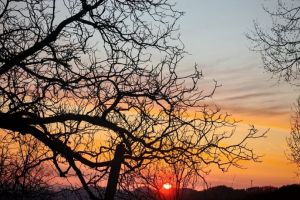 #ConstantaEsteBine: 10 martie 2026 Zi frumoasa de primavara, cu soarele ce ne rasfata de cateva zile