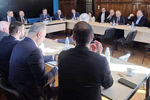 PNL susţine un buget orientat spre investiţii şi relansare economică