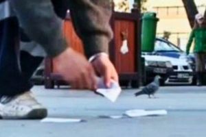 Un sătmărean a găsit 1.700 de lei în faţa unui magazin şi i-a păstrat. Acum ajunge în faţa instanţei