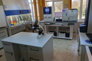 Investiţie de 4,44 milioane lei la Spitalul din Carei. Laboratorul devine unul dintre cele mai moderne din ţară