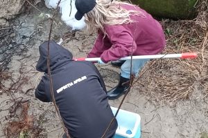 Târgu Jiu: Abator de păsări amendat drastic