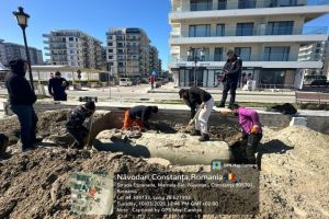 Ministrul Mediului - Rezervorul cu gaz din Navodari descoperit ieri, astazi dezgropat“