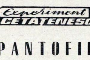 „Pantofii” – o tabletă despre aprovizionare şi nevoile cumpărătorilor, publicată în „Steagul Roşu” în martie 1970