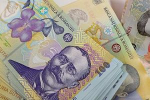 Which Companies Posted the Highest Profits in Bacău County