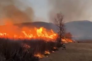 VIDEO: Peste 600 de incendii de vegetatie, in primele zile din martie 2026