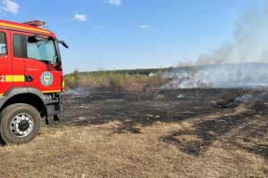 Incendii de vegetaţie izbucnite în judeţul Satu Mare. Flăcările ameninţă gospodării, terenuri şi pădurea