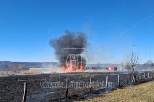 Incendiu major de vegetaţie uscată la Voineşti