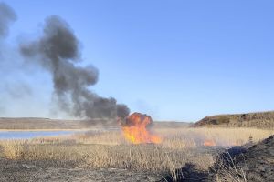 FOTO Hectare întregi de vegetaţie cuprinse de incendii, în două localităţi din judeţul Botoşani