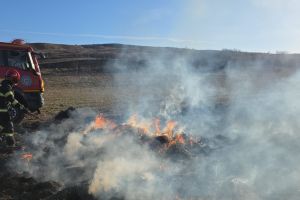 FOTO Furaje mistuite de flăcări într-o localitate din Botoşani. Focul, pus de nişte copii