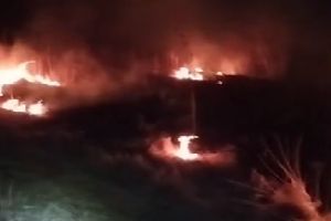 VIDEO Fermă de păsări din Botoşani, în pericol din cauza unui incendiu. 15 hectare cuprinse de flăcări
