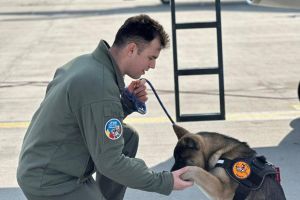 Un pilot militar a murit încercând să salveze un câine, la Baza 86 Aeriană