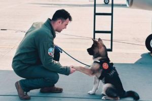 Un militar a murit, la Baza 86 Aeriană Borcea, în timp ce încerca să salveze un câine căzut într-un bazin cu apă