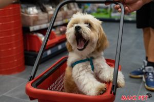 MAREA DESCHIDERE MAXI PET BACĂU! ÎN 14 – 15 MARTIE, PRINDE 20% REDUCERE LA TOATE PRODUSELE!