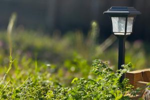 Instalarea corectă a lămpilor solare de exterior pentru efect maxim