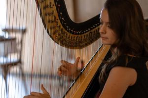 Harpa va aduce eleganţă la Târgul Imobiliar Timişoara TIT din weekend. Moment artistic special cu Rebeca Bere