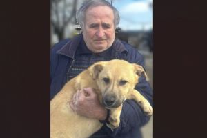 Primaria Constanta continua campania Adopta un catel. Peste 400 de asteapta o familie care sa le ofere sansa la un camin