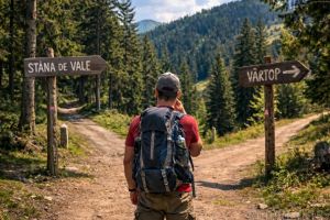 Alegeţi: Vârtop sau Stâna de Vale!