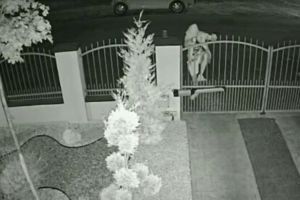 Hoţul ghinionist: proaspăt ieşit din închisoare, este gata să se întoarcă. A vrut să fure dintr-o casă, dar a plecat cu mâna goală