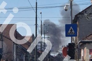 Incendiu de vegetaţie şi deşeuri în zona Freidorf