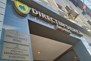 Reorganizare Romsilva. Direcţie regională la Târgu Mureş, pentru judeţele Sibiu şi Mureş