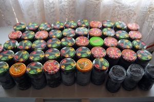 FOTO+VIDEO. Știri Constanta: Perchezitii intr-un dosar de braconaj piscicol! 15 kg de icre negre si aproape 50 kg de sturion, descoperite