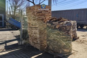 Ialomiţa: Acţiune a poliţiştilor Serviciului de Ordine Publică
