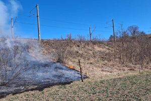 Trenuri oprite în judeţul Mureş, din cauza unui incendiu de vegetaţie uscată