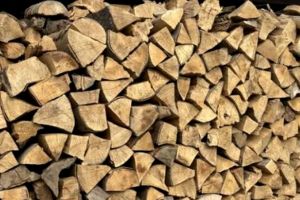 Administratorul unei firme din Romuli, reţinut pentru fals în sistemul informatic forestier