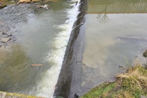 Barajele degradate de pe Cibin şi Hârtibaciu au devenit inutile. Specialiştii propun eliminarea lor spre binele tuturor