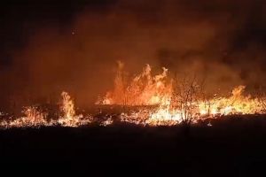 Incendii în trei localităţi din Botoşani. Zeci de hectare de vegetaţie au ars. Focul s-a extins şi la un adăpost de animale