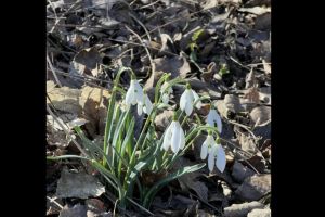 #ConstantaEsteBine: 12 martie 2026. Mijloc de luna martie, mijloc de saptamana de luna in scadere si eliminari intense la nivel fizic si emotional