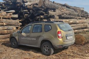 Garda Forestieră Focşani, sute de sancţiuni aplicate în urma controalelor din 2025