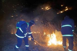 Zei de hectare pârjolite de foc în ultimele 24 de ore! ISU Vrancea: „Arderea vegetaţiei uscate este strict interzisă!”