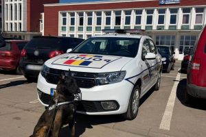 Acţiune în staţia CF Roşiori Nord şi zonele adiacente