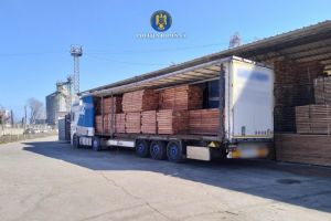 Transport ilegal de cherestea, depistat in Portul Constanta! A fost intocmit dosar penal