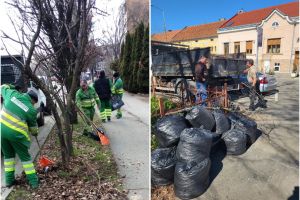 Începe curăţenia de primăvară în Oradea. Deşeurile vegetale vor fi ridicate gratuit, dar pe rând, din cartierele oraşului