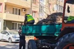 Curăţenie în cartierele din Târgu Jiu