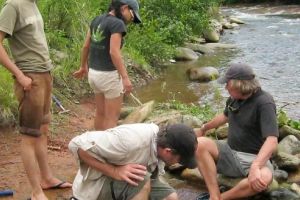 Un nou mamifer preistoric descoperit pe teritoriul Geoparcului