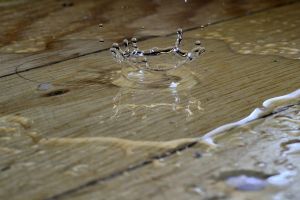 Cum să îţi usuci locuinţa eficient după o inundaţie folosind un dezumidificator