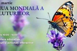 Ziua Mondială a Fluturilor, pe 14 martie, la Zoo Braşov