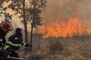 Incendierea vegetaţiei uscate, a miriştilor şi adeşeurilor vegetale este strict interzisă