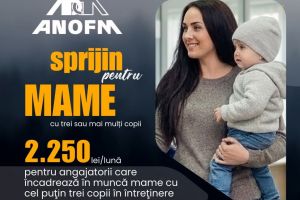 Subvenţii pentru firmele care angajează mame cu trei sau mai mulţi copii