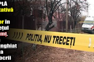 Triplă tentativă de omor în judeţul Neamţ. Și-a înjunghiat soţia şi socrii