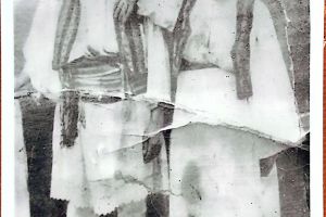 Muzeul Judeţean caută fotografii vechi pentru expoziţia „Hora de la Aninoasa”