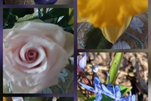 #ConstantaEsteBine:13 martie 2026. Zi frumoasa de luna martie, in plin tranzit de luna in scadere si Mercur inca retrograd