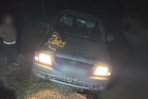 Aventură periculoasă pe un drum forestier din Sălişte: au intervenit jandarmii / foto
