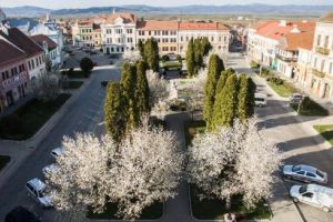 Preşedintele Ungariei vine duminică la Târgu Secuiesc, cu prilejul Zilei Maghiarilor de Pretutindeni