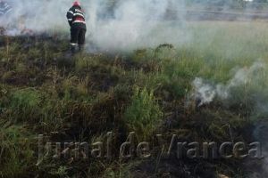 Pompierii focşăneni au intervenit pentru lichidarea unui incendiu de vegetaţie uscată la Vânători